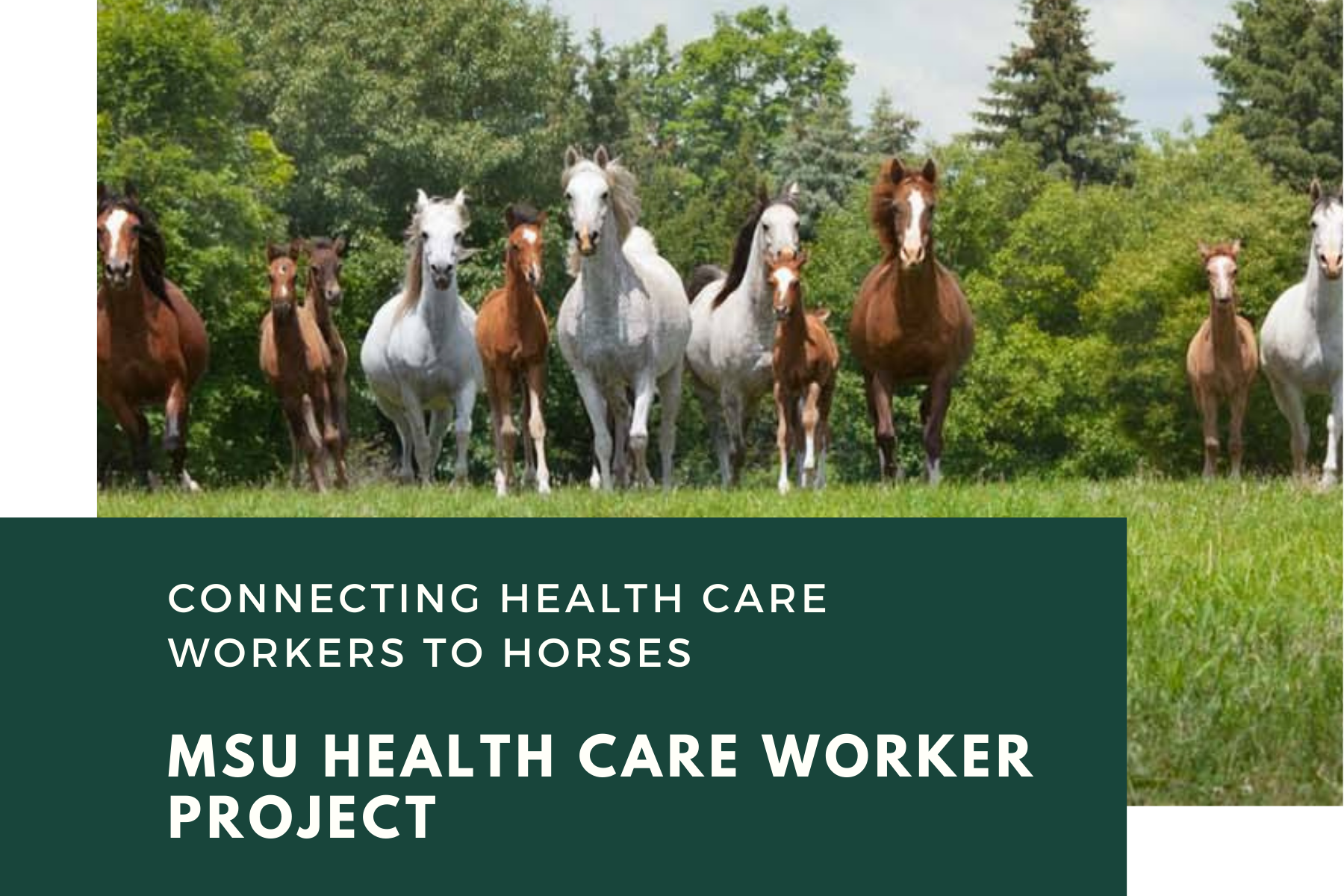 MSU health care worker project